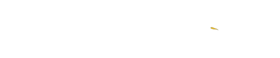 light logo